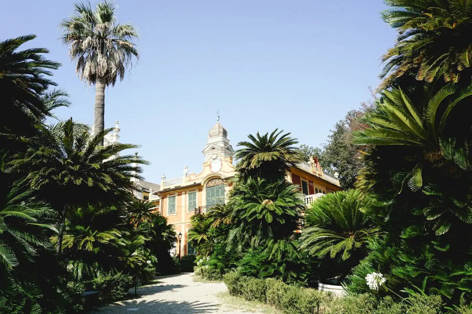 Landscaped garden with palm trees and a stone path