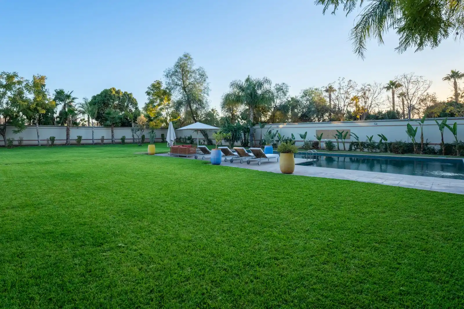 Villa lawn with a swimming pool and sun loungers